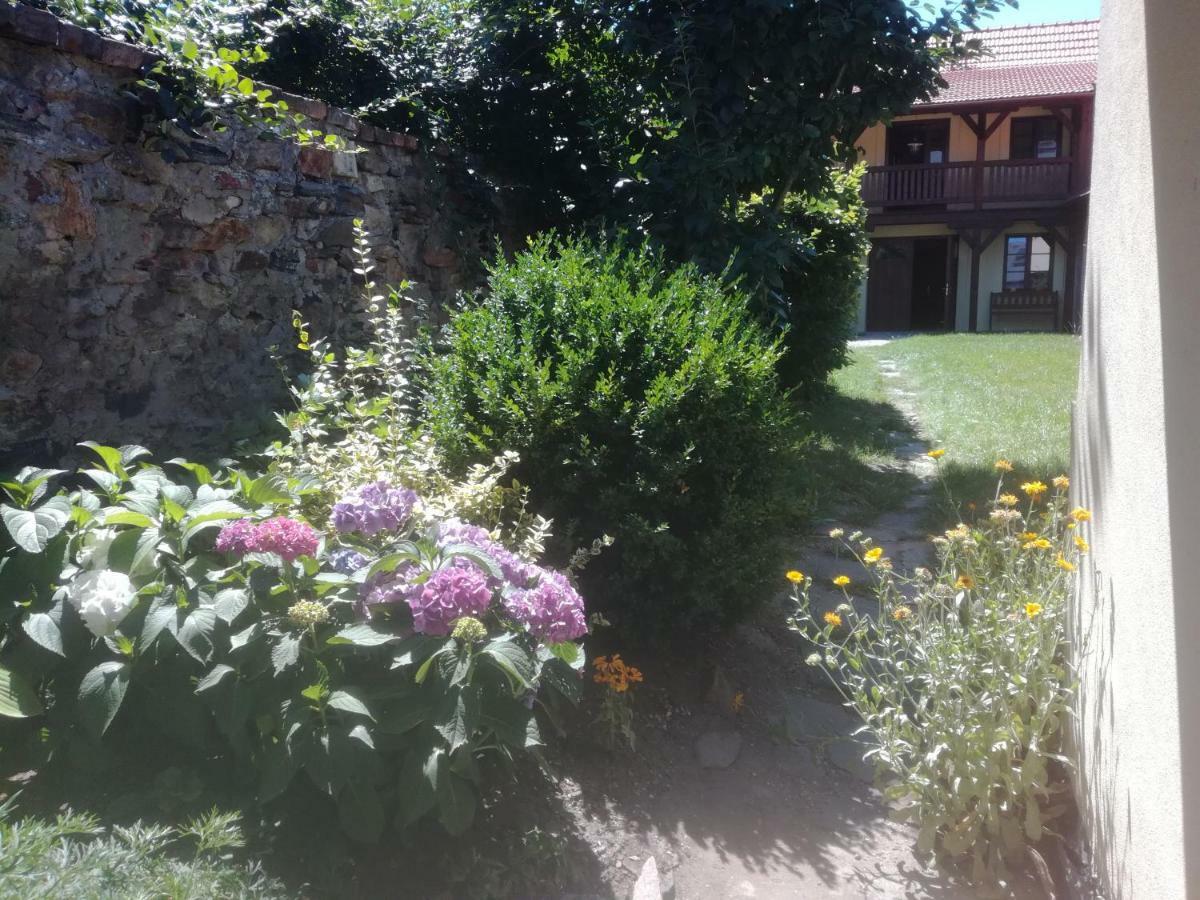 Na Letnim Byte Kouřim Extérieur photo